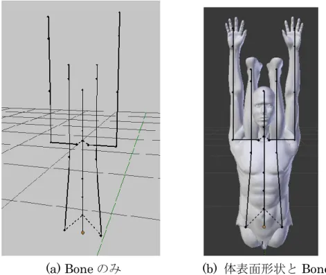 Fig. 4.4.  Bone で作成した筋骨格モデルの初期姿勢のリンクとそれを体表面形