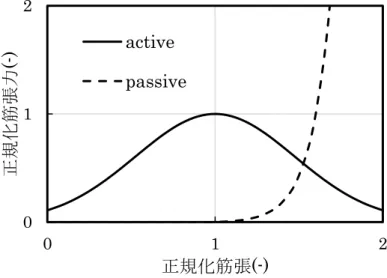 Fig.  2-3 中の active は筋が収縮するときの張力-長さ関係，passive は受動的な