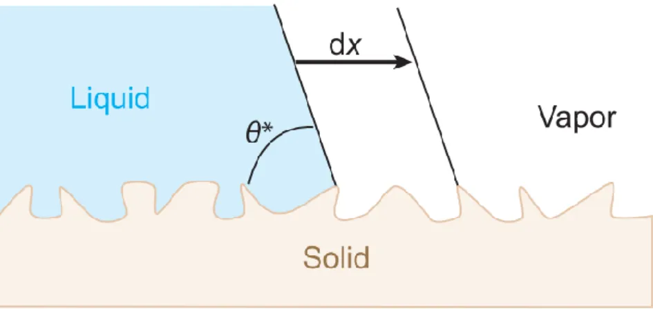 Fig. 1. 3 Wenzel’s model adapted from Quéré [35] . 