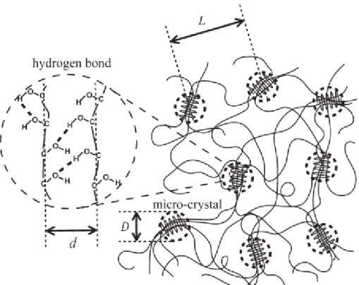 Fig. 3.13    Schematic representation of the network structure of PVA gels 