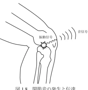 図 1.8  関節音の発生と伝達    本研究の以前の研究に携わっていた戸澤らは，膝の内側部，外側部，膝蓋骨，脛骨の 4 か所で関節音の計測を行い，関節音をウェーブレット変換によって周波数分析を行った． その結果，すべての聴診部位において膝 OA 患者では健常者よりも高周波成分の発生率が高 い傾向がみられ，また，膝 OA 患者では立ち上がり動作の後半に周波数の高い音が強く発生 するという傾向があると報告している．また，周波数特性の統計解析を行い，膝 OA 患者で は健常者と比較して，脛骨部では JKOM の