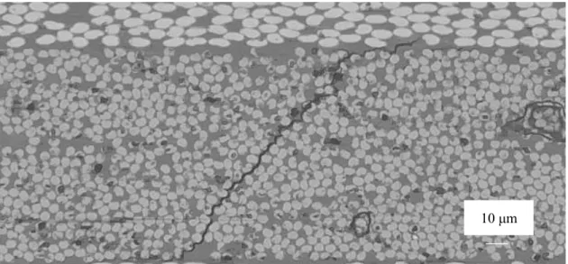 Figure 4.1 Crack growth of 1st90º of specimen CM.