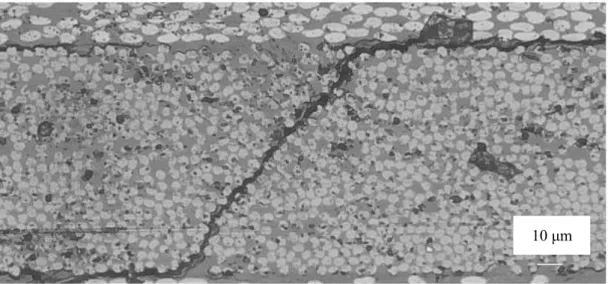 Figure 4.1 Continued.