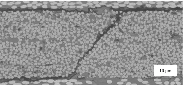 Figure 4.1 Continued.