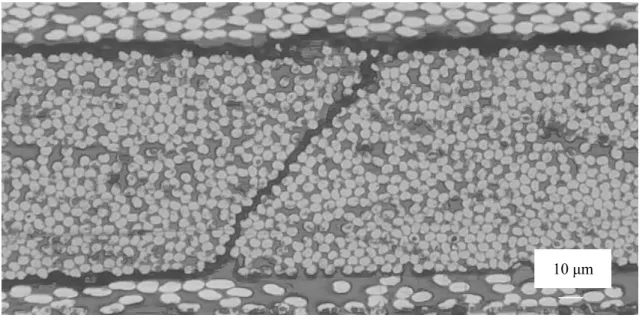 Figure 4.1 Continued.