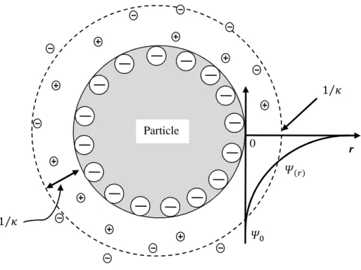 Fig. 2-6 A particle with diffuse electric double layer 