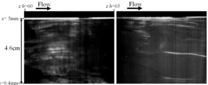Fig. 8 3D image analysis, 500ppm×1(left) and 500ppm
