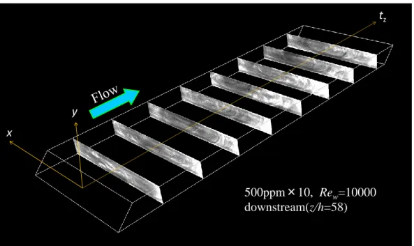 Fig. 3-22 Example of 3D image analysis on oblique cross-section  visualization.  500ppm × 10,  Re w =10000downstream(z/h=58)xy t z500ppm×10,  Rew=10000downstream(z/h=58)xytz