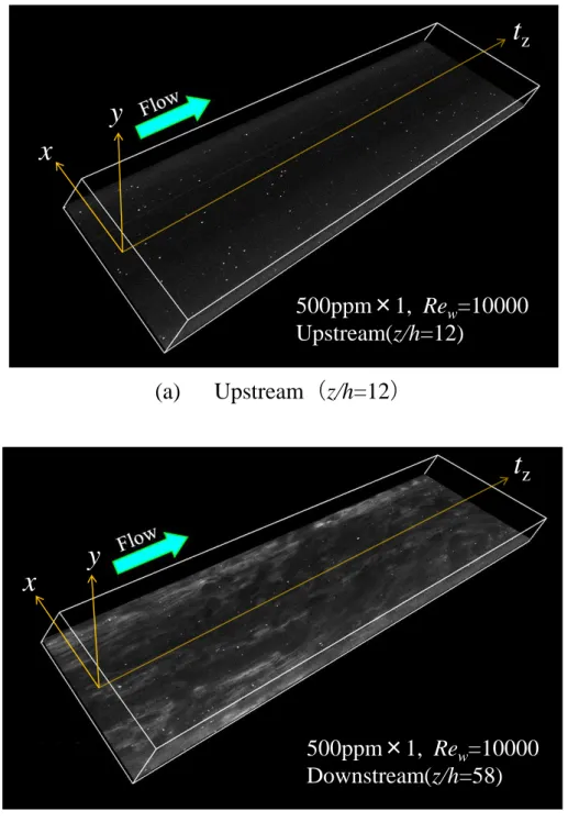 Fig. 3-23 3D image analysis, 500ppm×1 and Re w =10000 and x-t z  plane and  y= -4mm. xy t z500ppm×1,  Rew=10000Upstream(z/h=12)xyt z500ppm×1,  Rew =10000Downstream(z/h=58)