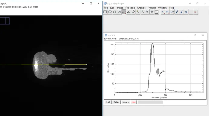 図  21  画像解析ソフト ImageJ を使って質量減少率を算出しているときの様子 