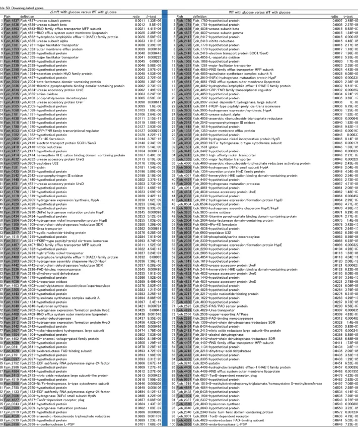 Table S3. Downregulated genes.