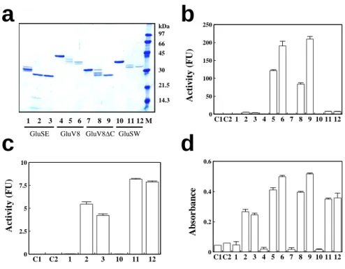 Fig. 4  1    2    3    4   5   6   7    8   9   10  11 12 M  kDa9766453021.514.3