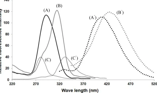 Fig. 3. Excitation and emission spectra of CMBAL derivatives of GO (A and A’) and  MGO (B and B ’ ) vs