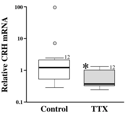 Fig. 3. Box plots of relative CRH mRNA expression in the brain of the control and the TTX- TTX-treated group on Day 42