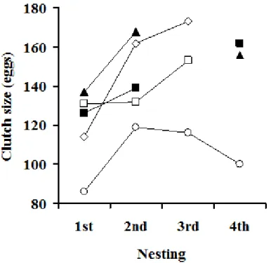 Fig. 4 Relationship between the number of nesting and clutch size of each captive  female hawksbill turtle