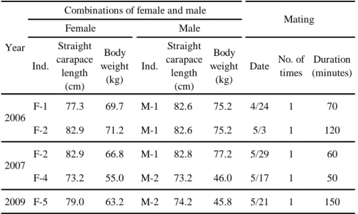 Table 3 Summary of mating of captive hawksbill turtles from 2006 to 2009 