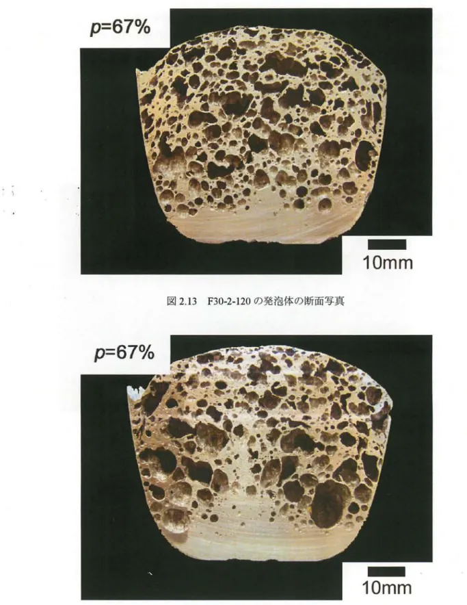 図 2 . 1 3 F30 ・ 2 ・ 1 2 0 の発泡体の断面写真
