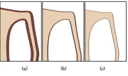 Figure 33. Comparison of rendering result using different thickness variation parameter  Figure 34 shows the result of experiments applying various values of wiggliness