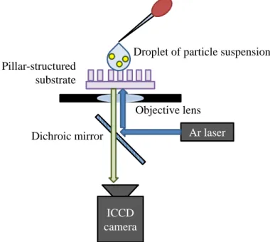 Fig. 2.11 The schematic image of PIV system with transmitted light.