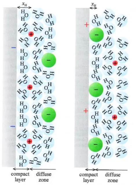 Fig. 3.4 The schematic image of electric double layer on solid surface which is negatively (left)  or positively (right) charged [58].