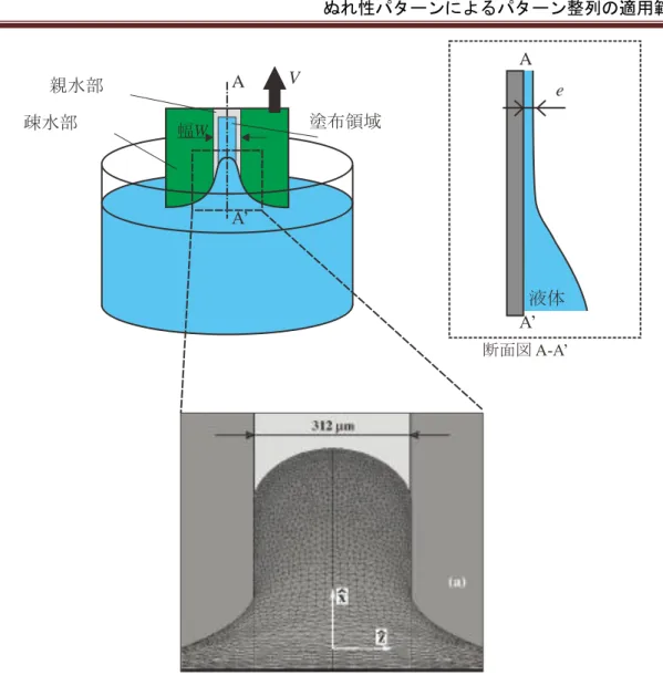 図 2-9  微細パターンへの液膜のぬれ広がりと厚み[132]    上記の様に本手法を利用した場合，液膜については上記のようになると考えられるが， 幾何構造を有するぬれ性パターンを利用した場合のぬれ広がり形状に関しては，ぬれ広が り高さをはじめにこれまでに明らかになっていない．そして現在の解析技術では，接触角 が非常に小さい場合の解析が難しく，そして蒸発を考慮したぬれ広がりは，未だ出来てい ない．また，液面がどのような形状を持っているのかが明らかとなっていない．ゆえに微 粒子と液体がどのような角度で接触す