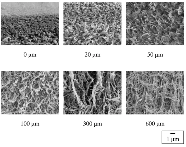 Fig. 4-1 Split line の方向に対して平行方向から見た断面の SEM 観察像 