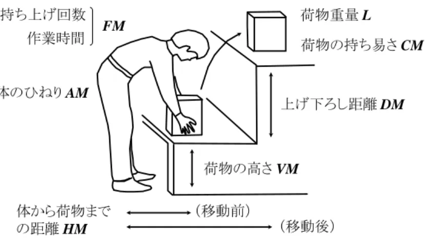 図 1.2  NIOSH Lifting Equation の因子  上げ下ろし距離 DM荷物の高さVM（移動前）（移動後）体から荷物までの距離HM荷物重量L持ち上げ回数作業時間体のひねりAM荷物の持ち易さ CMFM