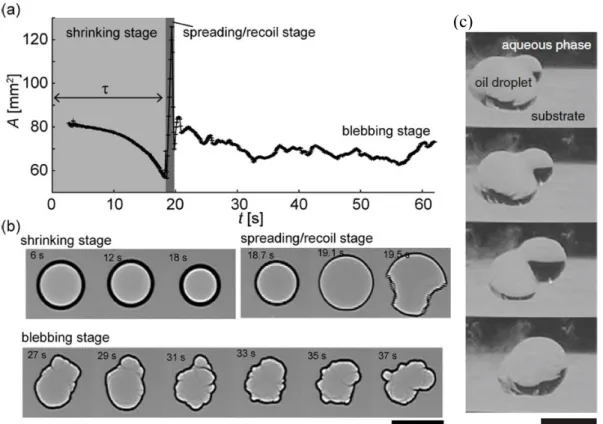 Figure 2-3.    (a) Apparent area, A, and (b) shadowgraph images of an oil droplet. τ represents  the  duration  of  the  shrinking  stage