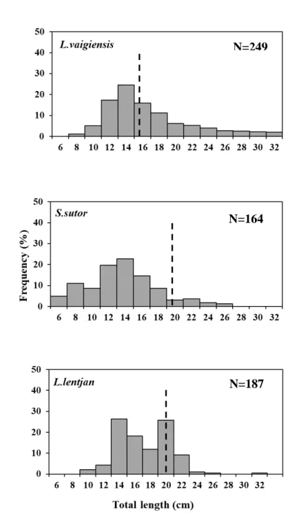 Figure 1-4. Comparative size frequency graphs for 25 mm codend    mesh size  of the three dominant species