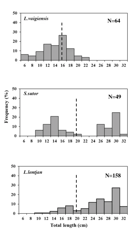 Figure 1-5. Comparative size frequency graphs for 38 mm codend   mesh size  of the three dominant species