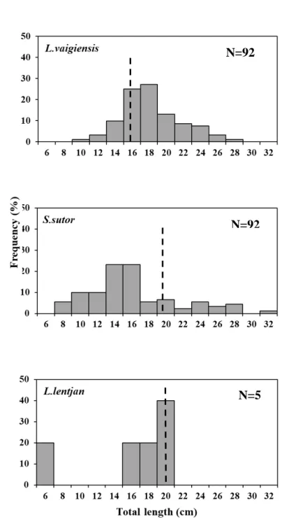 Figure 1-6. Comparative size frequency graphs for 44 mm codend mesh size  of the three dominant species