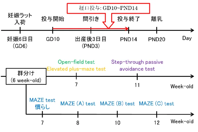 Fig. 1-7.  実験スケジュール 