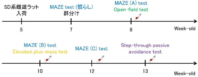 Fig. 2-2.  実験スケジュール 
