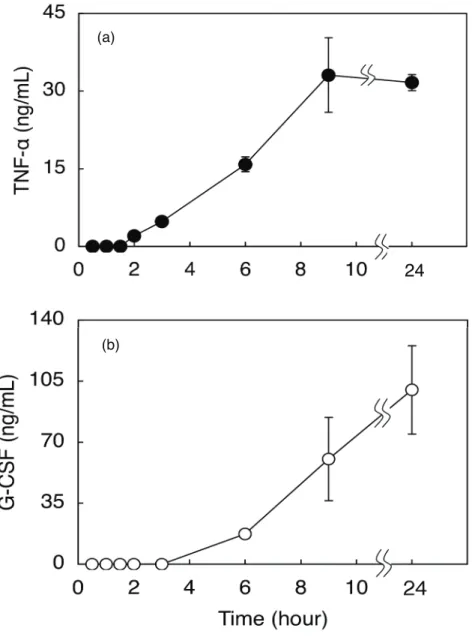 Fig. 5.  Time courses of the production of TNF−α (a) and G-CSF (b) from CEL-I-treated  RAW264.7 cells