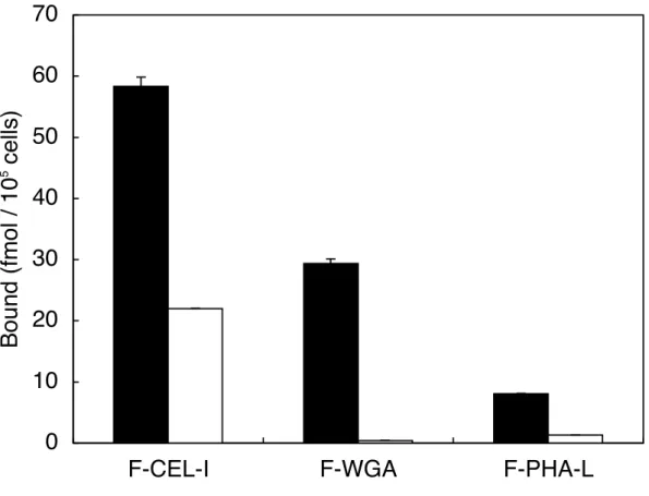 Fig. 6.  Binding of F-CEL-I, F-PHA-L, and F-WGA to RAW264.7 cells in the presence (□)  or  absence  (■)  of  the  specific  sugar  for  each  lectin