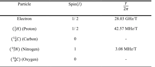 Figure 2.2 Precession of a nuclear spin  with magnetic moment  (µ) about an external  magnetic field B 0  with an angular velocity ω 0 