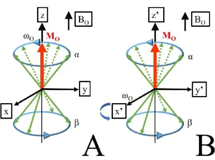 Figure 2.3 Magnetic moment, shown in a static frame of reference, A; in a dynamic frame  of reference, B