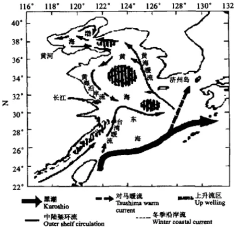 Fig. 1.  Currents in the sea area adjacent to the estuary of the Changjiang River (after Hu 2001).