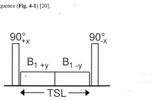 Fig.  4-1  Schematic  of  a  Tip-weighted  spin-lock  RF  pulse  cluster 