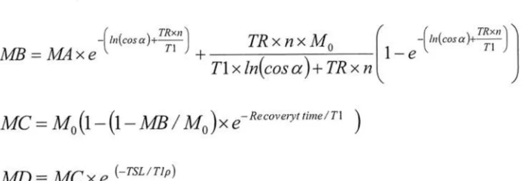 Fig.  4-5  Transient  response  of  magnetization  from   Mo  to  Mss                32
