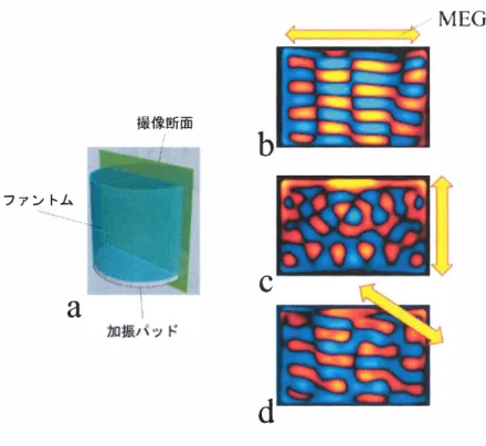 Fig. 3-2 M EGの 印加方向とその Waveimage. 