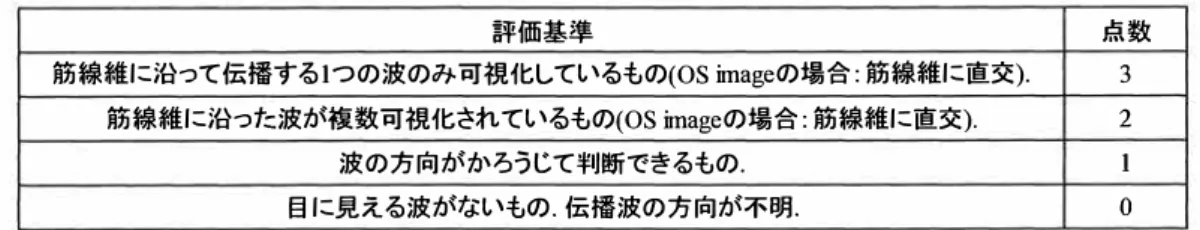 Fig.  5-8 に 5 名の健常ボラン ティアの Wave image を示す．この Wave image は MR 強 度画像に重ね合 わ せた画像 (Wave image fusion) として 表示している． OA image および oc