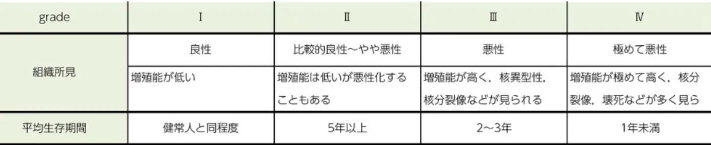 表 2.2.2  脳 腫 瘍 の 組 織 型 分 類 と 悪 性 度 （ 文 献 1 2 ) の 図 を 改 変 引 用 ）
