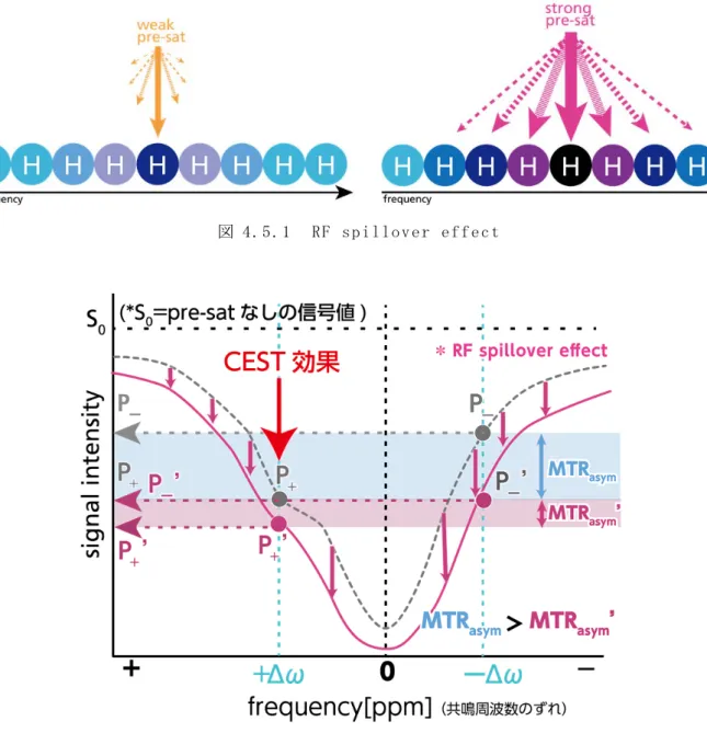 図 4.5.2  RF spillover effect と z-spectrum