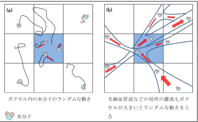 図 4.6 ボクセル内の拡散流 (a:  水分子の拡散現象， b:  毛細血管流 ( 灌流 ))     