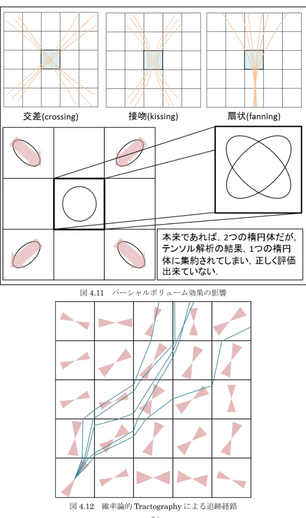 図 4.11 パーシャルボリューム効果の影響