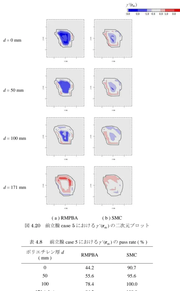 図 4.20 前立腺 case 5 における γ ' ( r m ) の二次元プロット