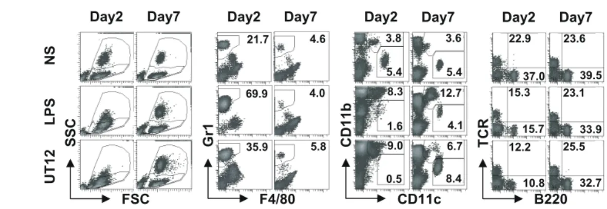 Figure 3  Flow cytometry analysis of lung-inﬁltrating cells after intratracheal administration of LPS or UT12