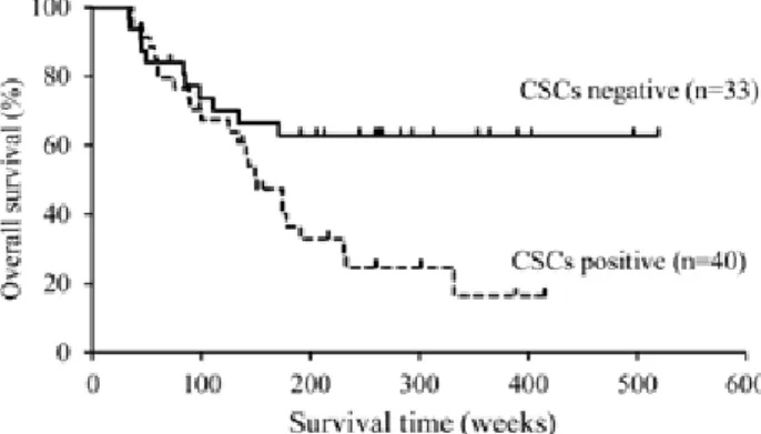 Table 3. Univariate and multivariate analysis of CSCs marker expression and overall survival Univariate analysis Multivariate analysis