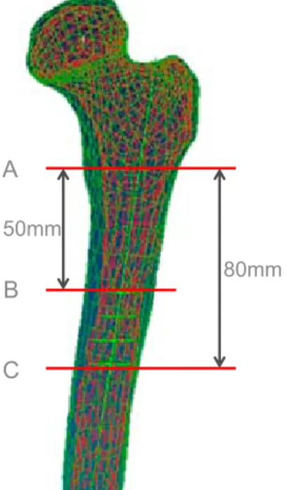 Figure 1 CAD 50mm 80mmABCFigure 2bFigure 2a